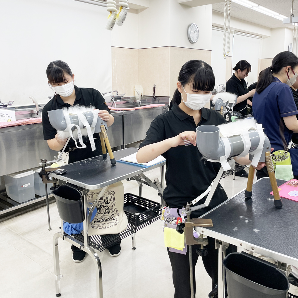 １年生はグルーミングとカット強化☆